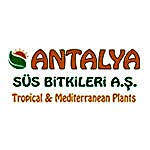 Antalya Süs Bitkileri